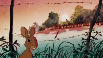 Watership Down Trailer