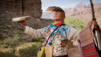 We Are Grand Canyon Trailer