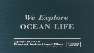 We Explore Ocean Life Trailer