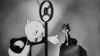 We, the Animals - Squeak! Trailer