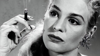 Web of Desire Trailer