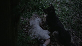 Weep the Headless Madness of these Fields Trailer