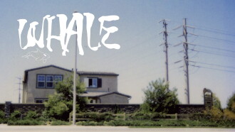 Whale Trailer