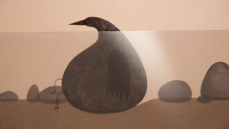 Whale Bird Trailer