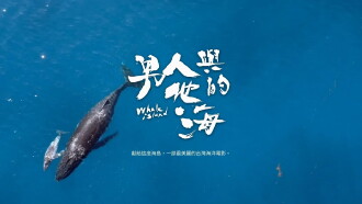 Whale Island Trailer
