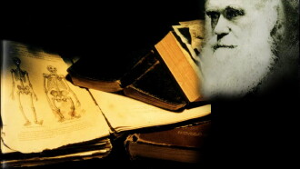 What Darwin Didn't Know Trailer