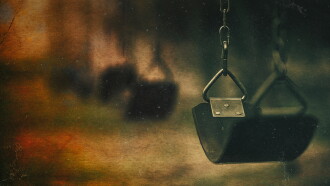 What Happened at Fells Acres? Trailer