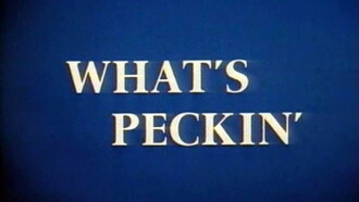 What's Peckin' Trailer