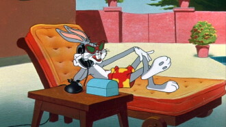 What's Up, Doc? Trailer