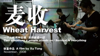 Wheat Harvest Trailer