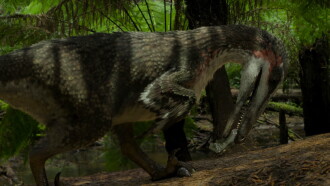 When Dinosaurs Roamed America Trailer