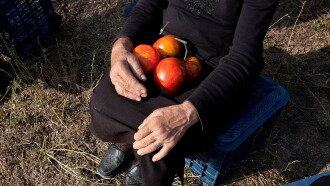 When Tomatoes Met Wagner Trailer