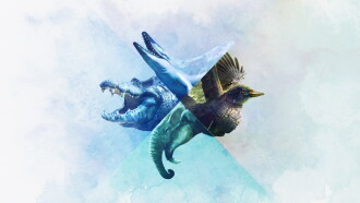 When Whales Walked: Journeys in Deep Time Trailer