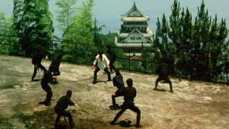 Which Is Stronger, Karate or the Tiger? Trailer