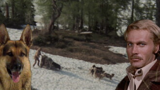 White Fang Trailer