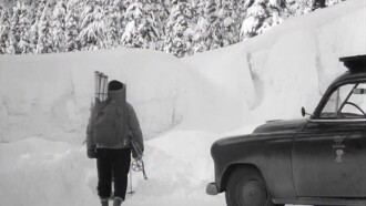 White Peril Trailer