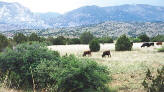 Whose Home on the Range? Trailer