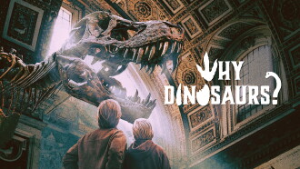 Why Dinosaurs? Trailer