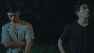 Why Do Birds Suddenly Disappear? Trailer