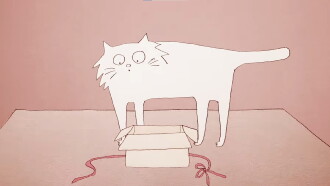 Why Do Cats Act So Weird? Trailer