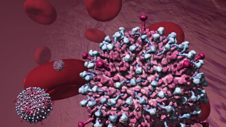 Why Do Viruses Kill? Trailer