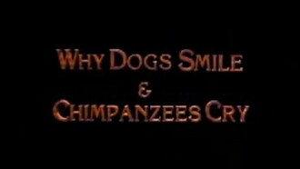 Why Dogs Smile and Chimpanzees Cry Trailer
