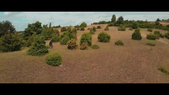 Wiebkes Weg Trailer