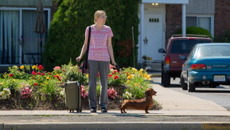 Wiener-Dog Trailer