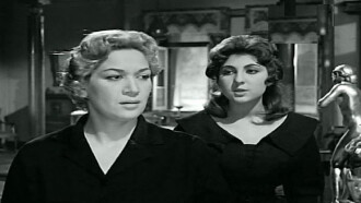 Wife from the Street Trailer