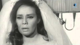 Wife of five men Trailer