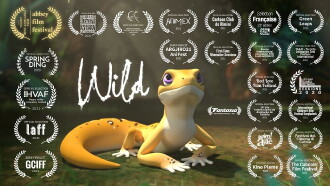 Wild Trailer