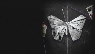 Wild Butterfly Trailer