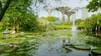 Wild City: Secret World Trailer