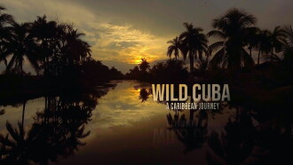 Wild Cuba: A Caribbean Journey Trailer