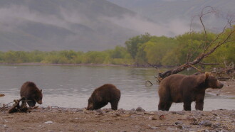 Wild Edens: Russia Trailer
