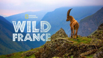 Wild France Trailer