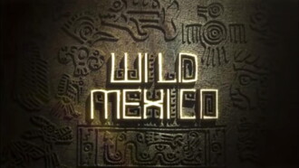 Wild Mexico Trailer