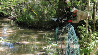 Wild Mississippi Compilation Trailer