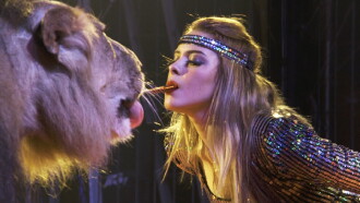 Wild Women: Gentle Beasts Trailer