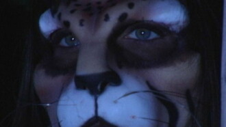 WildCat Trailer