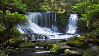 Wilde Paradiese - Tasmanien: Land der Teufel Trailer