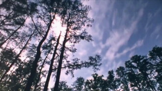 Wilderness: A Country in the Mind Trailer