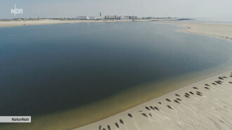 Wildes Borkum Trailer
