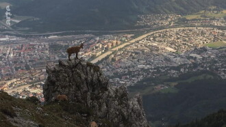 Wildes Innsbruck: Zwischen Moderne und alpiner Wildnis Trailer