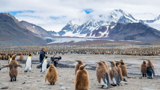 Wildlife: Resurrection Island Trailer