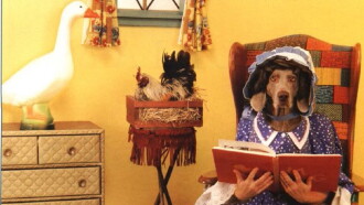 William Wegman's Mother Goose Trailer