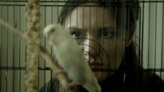Winged and Imprint Dark Trailer