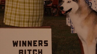 Winners Bitch Trailer