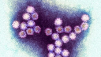 Winter Viruses and How to Beat Them Trailer