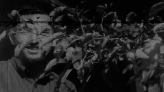 Wintercourse Trailer